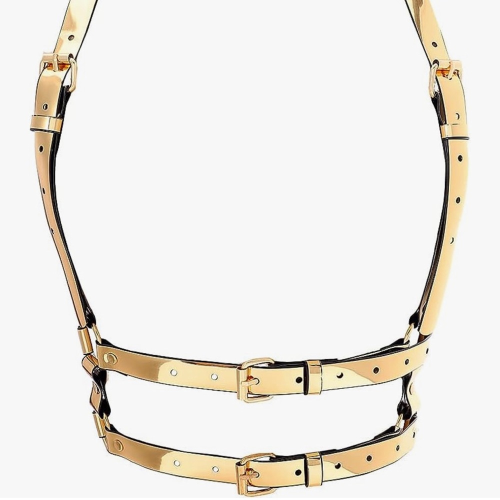 Waist Belt Mirror Harness